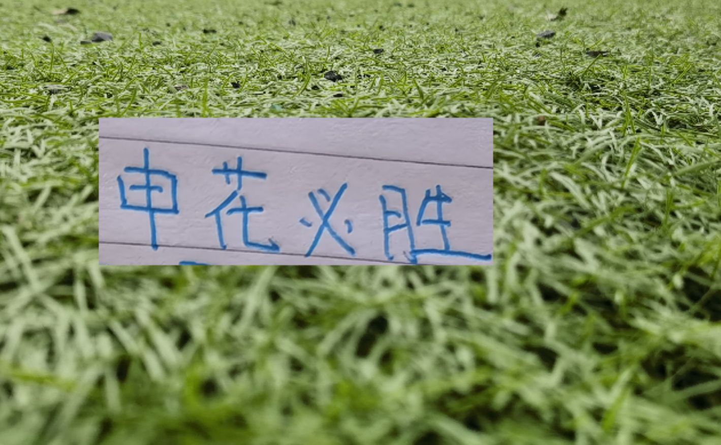 乐鱼体育-第8轮中超未扣分纯净版!可能才是申花球迷最想要积分榜
